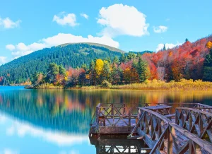 Bolu Sohbet Odaları